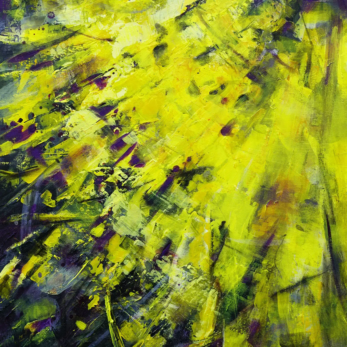 No Time to Lose | Detail | 202512